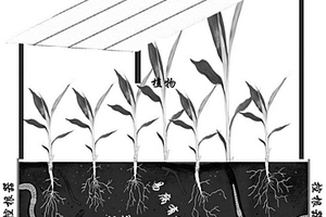 有機(jī)固廢的生態(tài)處理方法及得到的有機(jī)物料