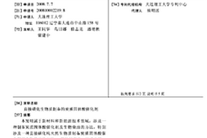 直接磺化生物質(zhì)制備的炭質(zhì)固體酸催化劑