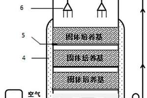 回流式固體發(fā)酵生產(chǎn)γ-聚谷氨酸的發(fā)酵方法及裝置