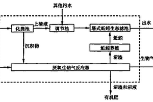 生態(tài)型農(nóng)村污水與有機固體廢棄物協(xié)同處理的工藝