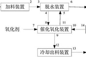 脫除工業(yè)固體廢鹽TOC的裝置