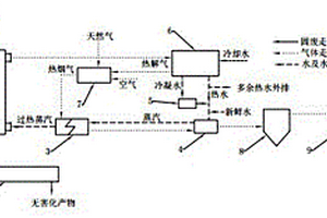 高溫蒸汽熱解處理固廢的工藝及裝置