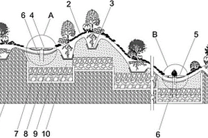 基于消納固廢的再生地植被種植結(jié)構(gòu)