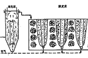 好氧-厭氧微生物反復耦合處理污水新工藝