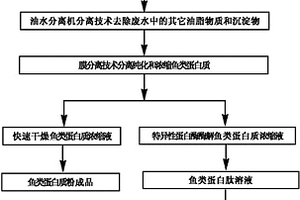 生產(chǎn)魚類蛋白質(zhì)的方法及生產(chǎn)魚類蛋白肽的方法