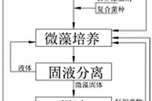 畜禽糞污增效生產(chǎn)生物油的方法