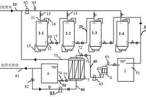 串聯(lián)并行分級(jí)吸附反滲透處理礦山氨氮廢水裝置