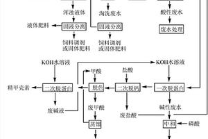 從干蝦殼中提取甲殼素的方法