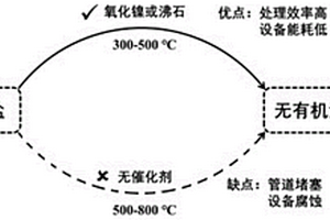 用于去除鈉基污染鹽中有機(jī)污染物的方法及系統(tǒng)