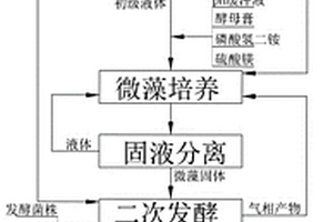 畜禽糞污微藻養(yǎng)殖同步產(chǎn)乙醇的方法