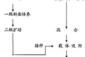 泥炭生物復(fù)合菌肥及其生產(chǎn)工藝