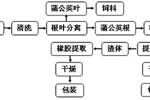 從蒲公英橡膠草中連續(xù)高效循環(huán)提取蒲公英橡膠和菊糖的方法