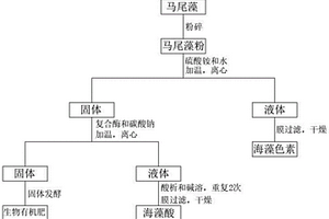 馬尾藻綜合利用方法