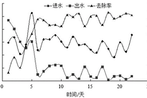 曝氣生物濾池組合填料及應(yīng)用