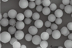基于二步水熱法制備油茶籽殼碳微球的方法
