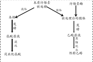 利用木質(zhì)纖維素聯(lián)產(chǎn)乳酸和乙醇的方法