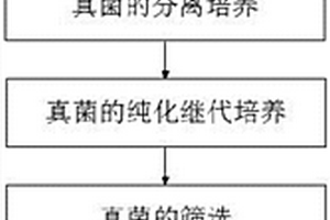 促進(jìn)木薯渣基質(zhì)發(fā)酵進(jìn)程的真菌分離方法