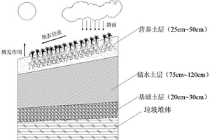 垃圾填埋場騰發(fā)覆蓋結(jié)構(gòu)及制備方法