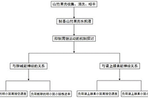 山竹果殼抑制腸胃運動的水煎液制備工藝及其測試方法