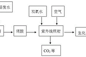 丙烯醛廢水的處理方法及處理裝置