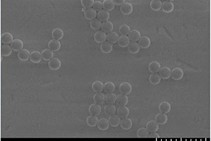 制備聚倍半硅氧烷微球的綠色環(huán)保方法