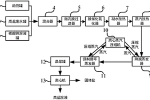 高鹽廢水的處理系統(tǒng)