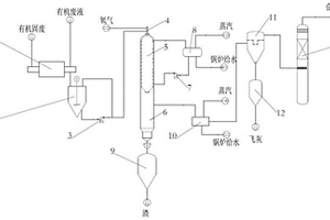 利用有機危險廢物制備合成氣和蒸汽的裝置及方法