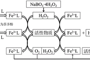 以過硼酸鹽為氧化劑的類芬頓反應(yīng)處理有機(jī)廢水的方法