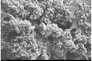 高效利用粉煤灰制備Si3N4/SiC/AlN復(fù)合陶瓷的方法