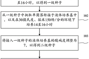 用于降解酚類和木質(zhì)素的降解菌應(yīng)用方法