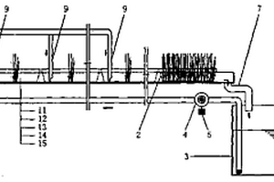 循環(huán)流水水產(chǎn)養(yǎng)殖系統(tǒng)污水水培牧草植物濾器