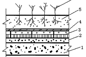屋頂綠化系統(tǒng)及綠化方法