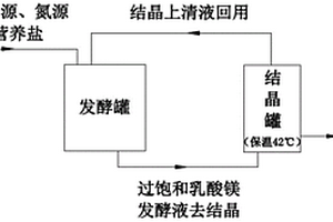 基于結(jié)晶法發(fā)酵分離耦合生產(chǎn)乳酸鎂的方法