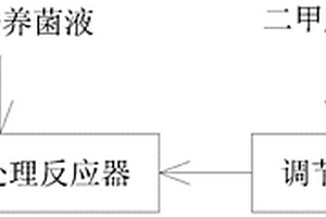 高效菌強化二甲胺廢水的生化處理方法