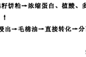 棉籽直接制取生物柴油的方法