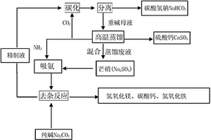 芒硝生產(chǎn)碳酸氫鈉工藝