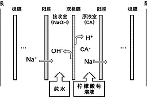 生物發(fā)酵耦合雙極膜電滲析技術(shù)生產(chǎn)檸檬酸的方法