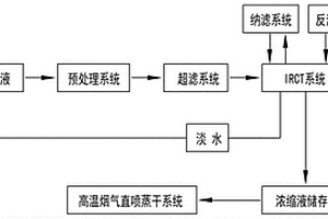 脫硫漿液離子脫除及濃縮液高溫煙氣直噴固化方法