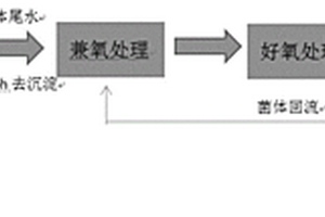 基于光合微生物的屠宰場(chǎng)污水處理方法