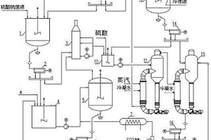 資源化處置硫酸鈉廢液的裝置