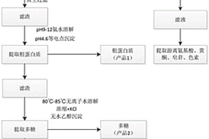 從文冠果鮮果殼中連續(xù)提取粗蛋白質(zhì)、多糖、纖維素的方法