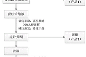 連續(xù)多層次地從文冠果鮮果殼中提取氨基酸、黃酮、皂苷、色素中至少兩種成分的方法