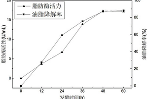 巴倫氏類芽孢桿菌TZ-1及其應用