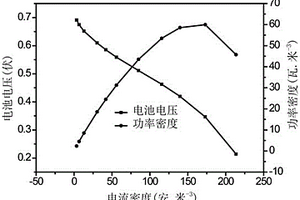 基于三維篩管碳結(jié)構(gòu)作為陽極的高性能微生物燃料電池