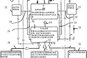 用于濕生物質(zhì)的熱化學(xué)協(xié)調(diào)和氣化的裝置和方法