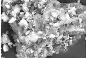 利用雞糞生物炭去除糞便中抗生素的好氧堆肥方法及雞糞生物炭在去除抗生素中的應(yīng)用