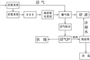 生物柴油廢水和沼氣的深度處理方法