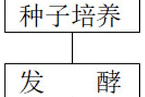 用于生產(chǎn)4-AA的酮還原酶制備方法