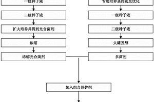 一種復(fù)合微生物制劑生產(chǎn)工藝