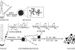 一種網(wǎng)狀交聯(lián)凝膠及制備方法和應(yīng)用